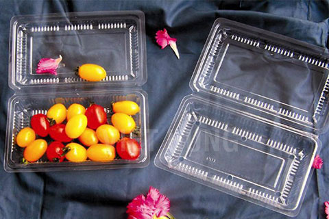 Blister-Molding-Supermarket-fruit-packaging-boxes