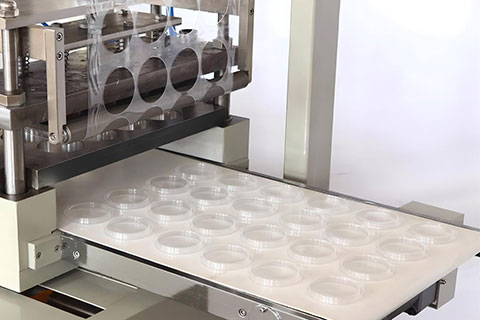 The-advantages-of-blister-molding